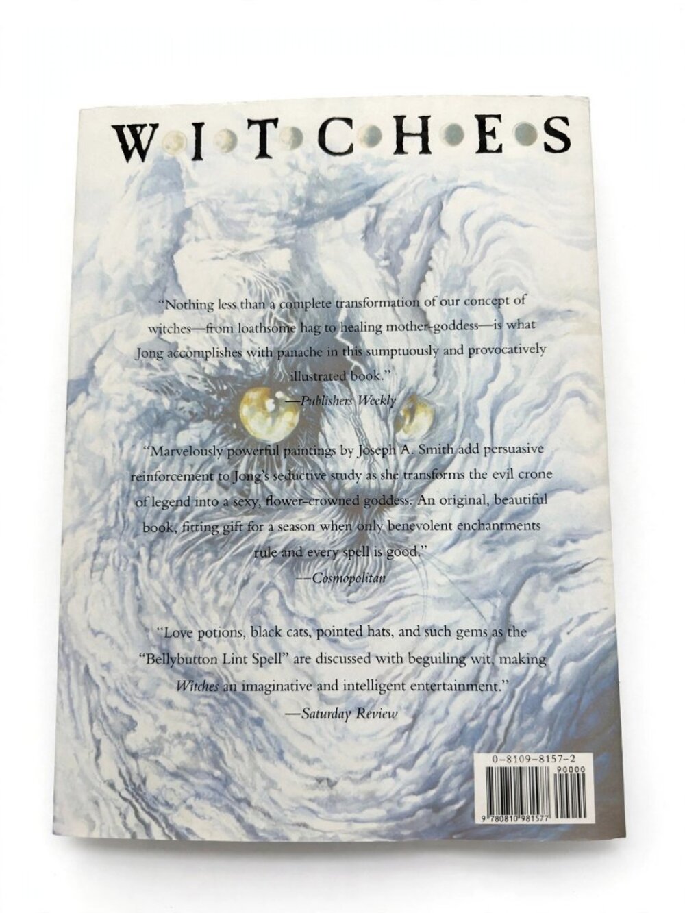 Witches Erica Jong Illustrated Hardcover Art Book Halloween Occult Coffee Table - Picture 2 of 5